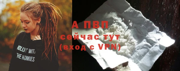 дживик Осташков