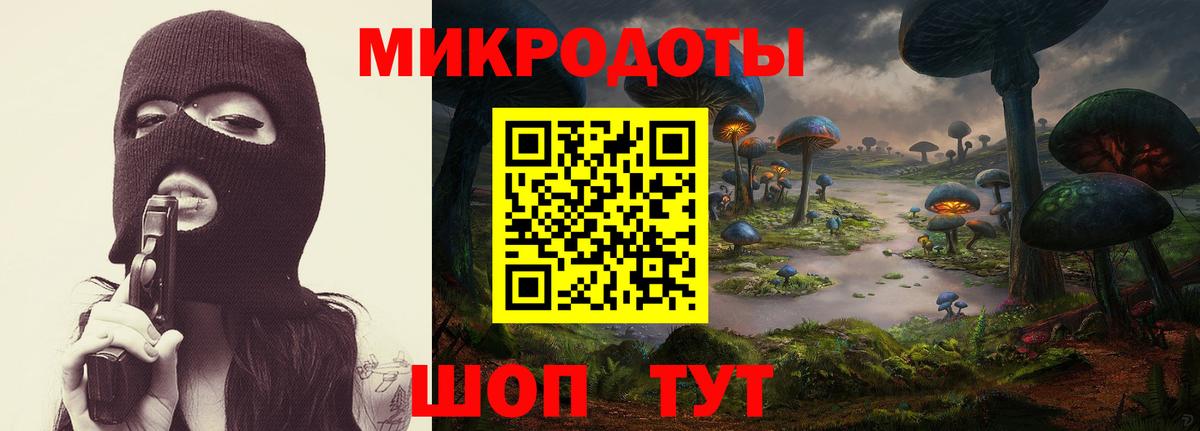 Галлюциногенные грибы Psilocybine cubensis Люберцы