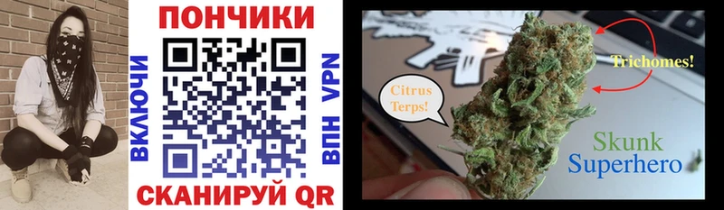 магазин    Люберцы  Конопля ГИДРОПОН 