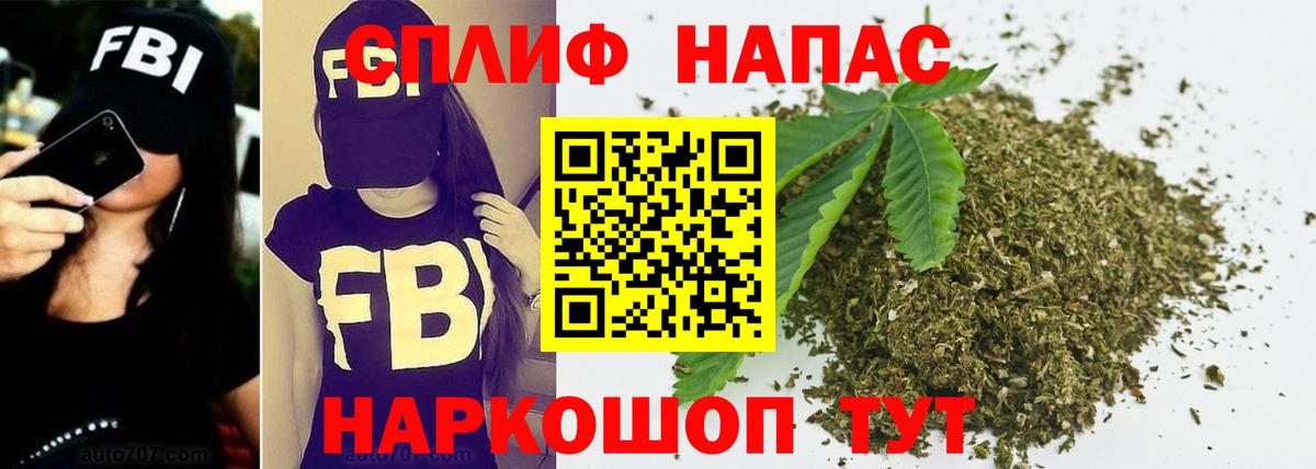 Бошки Шишки планчик Люберцы